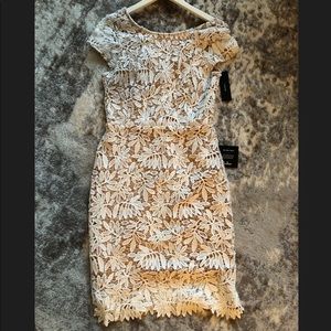 White Lace Lulus Dress